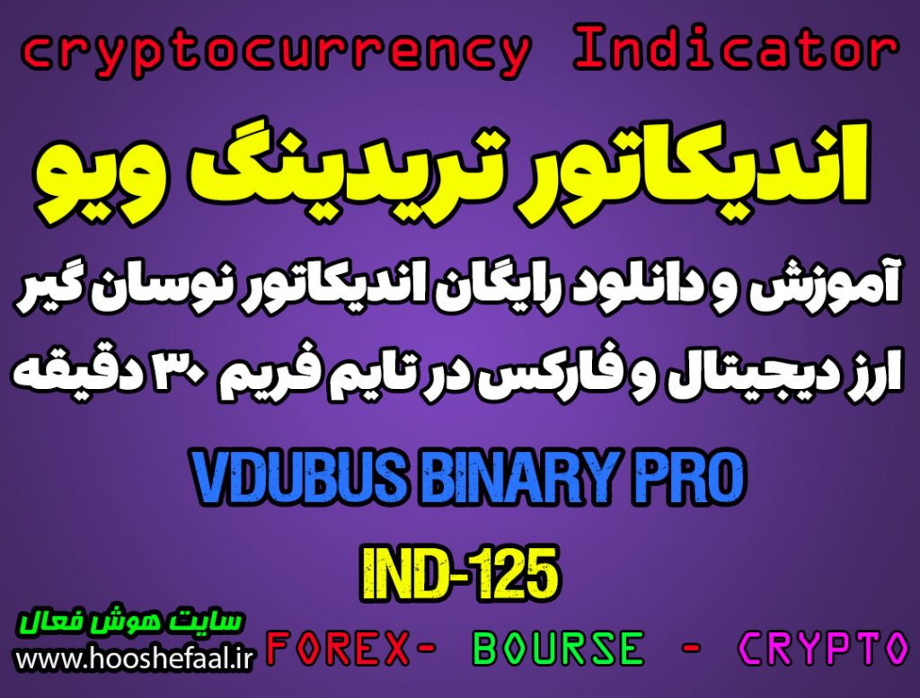 دانلود رایگان و آموزش اندیکاتور نوسان گیری Vdubus Binery Pro برای ارز دیجیتال و فارکس در تریدینگ ویو تایم فریم 30 دقیقه