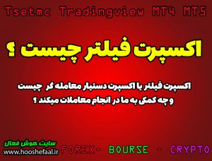 اکسپرت فیلتر یا ربات سیگنال یاب دستیار تریدر چیست ؟