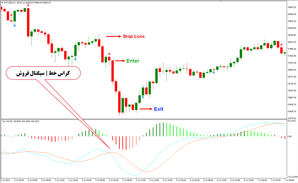 اندیکاتور نوسان گیر Tipu MACD مخصوص فارکس | Tipu MACD MT4