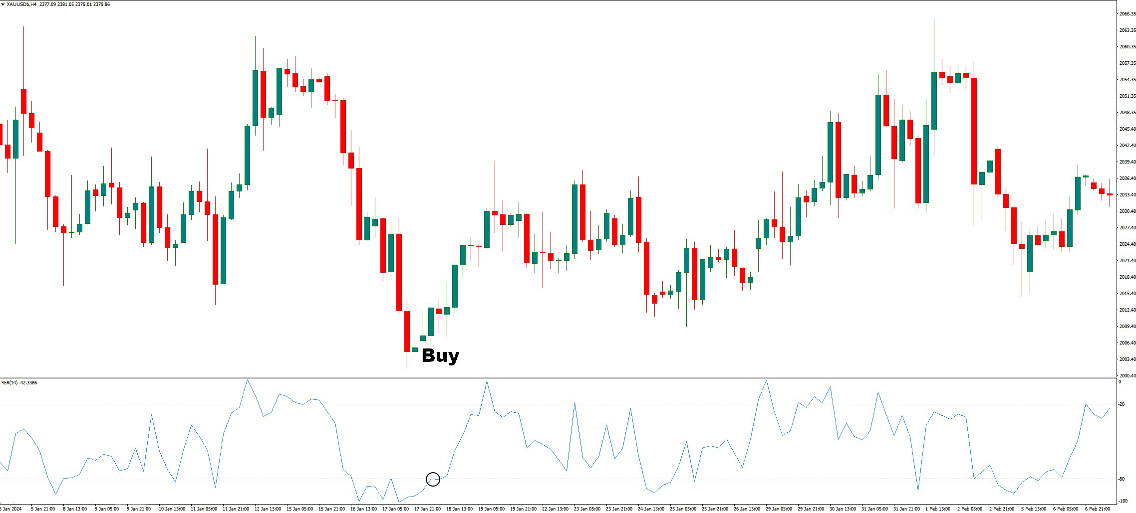 دانلود اندیکاتور Williams R در متاتریدر 4 | شناسایی شرایط بیشخرید و بیشفروش در بازار