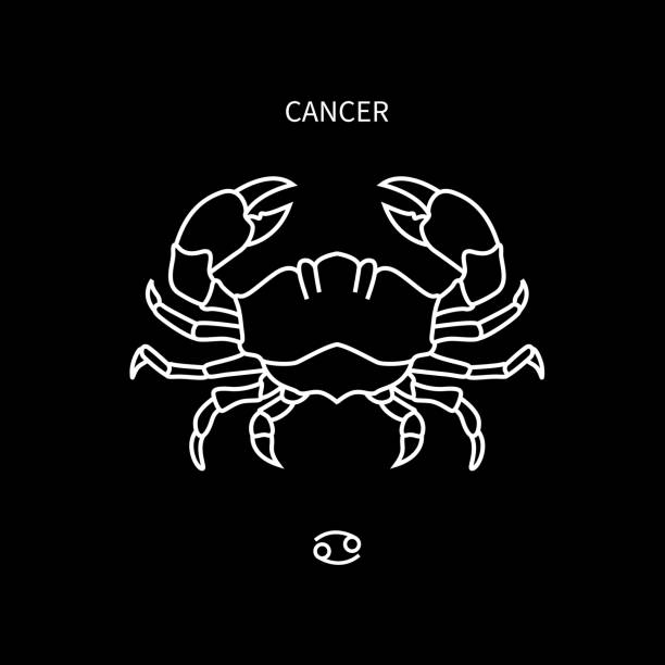 فال تیر زودیاک برج سرطان، خرچنگ Cancer – سبک زندگی