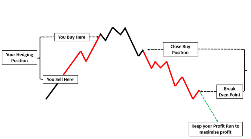 دانلود اکسپرت دستیار معامله گر TralingLine در متاتریدر 5 - استراتژی هجینگ