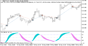 دانلود اکسپرت Exp TSI MACD در متاتریدر 5