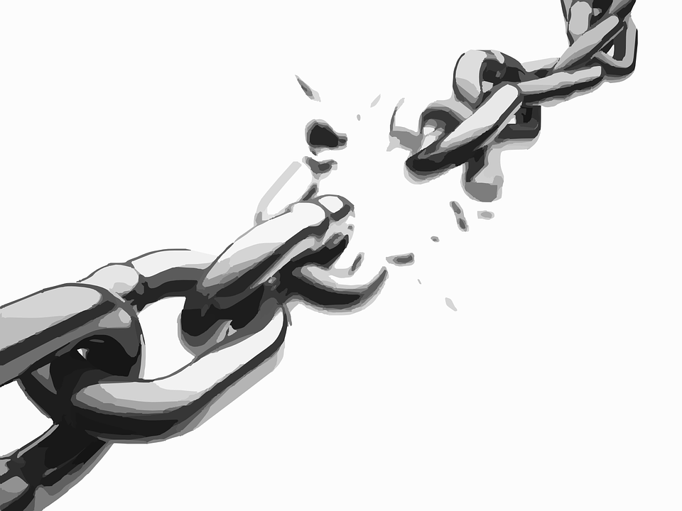 Ross Ulbricht Freed