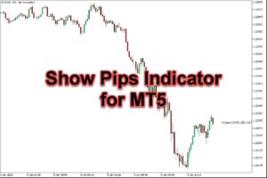 دانلود اندیکاتور نمایش سود و ضرر لحظه Show Pips در متاتریدر 5