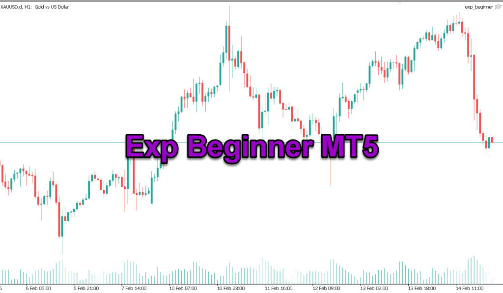 دانلود اکسپرت معامله گر Exp Beginner در متاتریدر 5