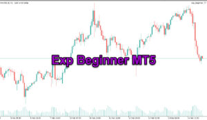 دانلود اکسپرت معامله گر Exp Beginner در متاتریدر 5