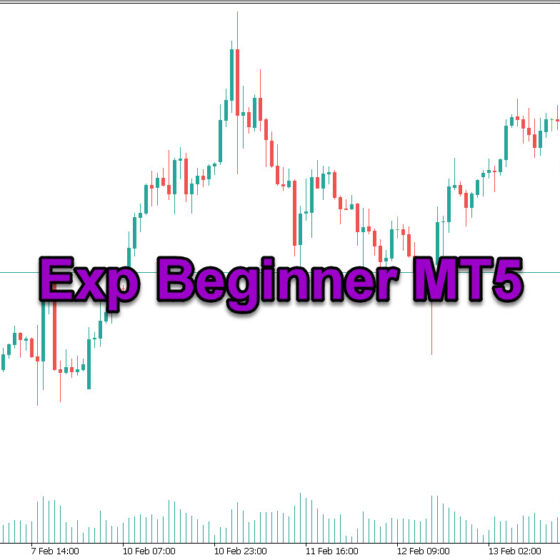 دانلود اکسپرت معامله گر Exp Beginner در متاتریدر 5