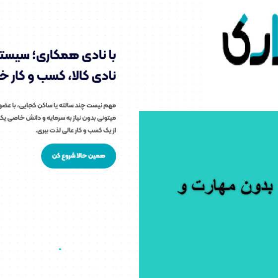 اگه گوشی داری، یعنی راه درآمدت آماده‌ست! با نادی‌کالا راحت پول بساز!