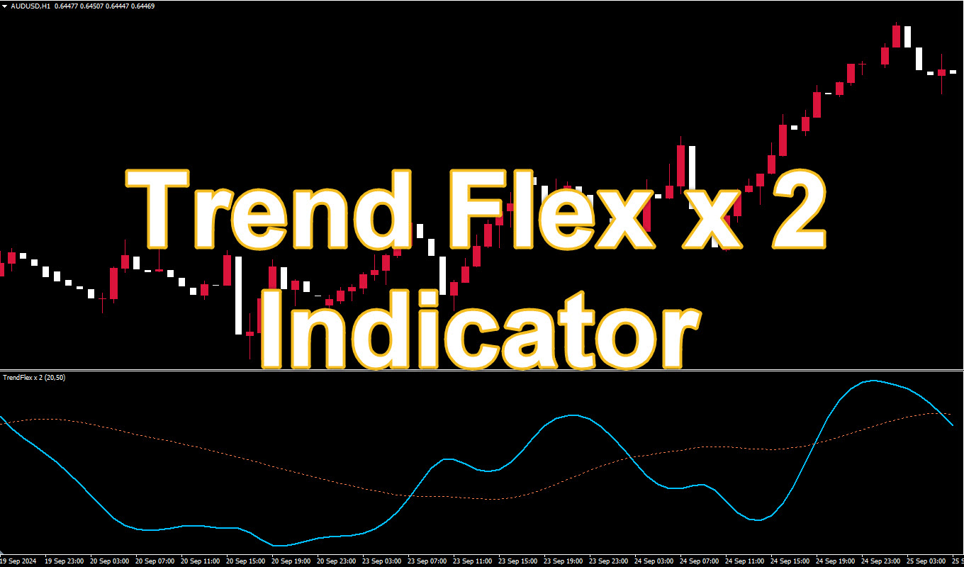 Trend Flex x 2