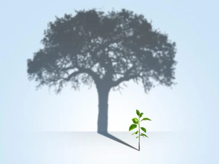 همه چیز درباره صندوق بازنشستگی تکمیلی و تفاوت آن با صندوق دولتی