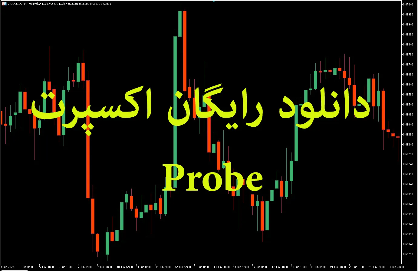 Probe