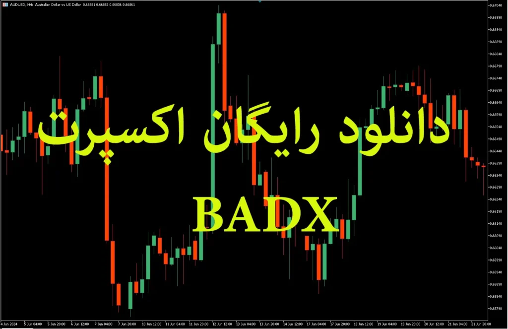  BADX