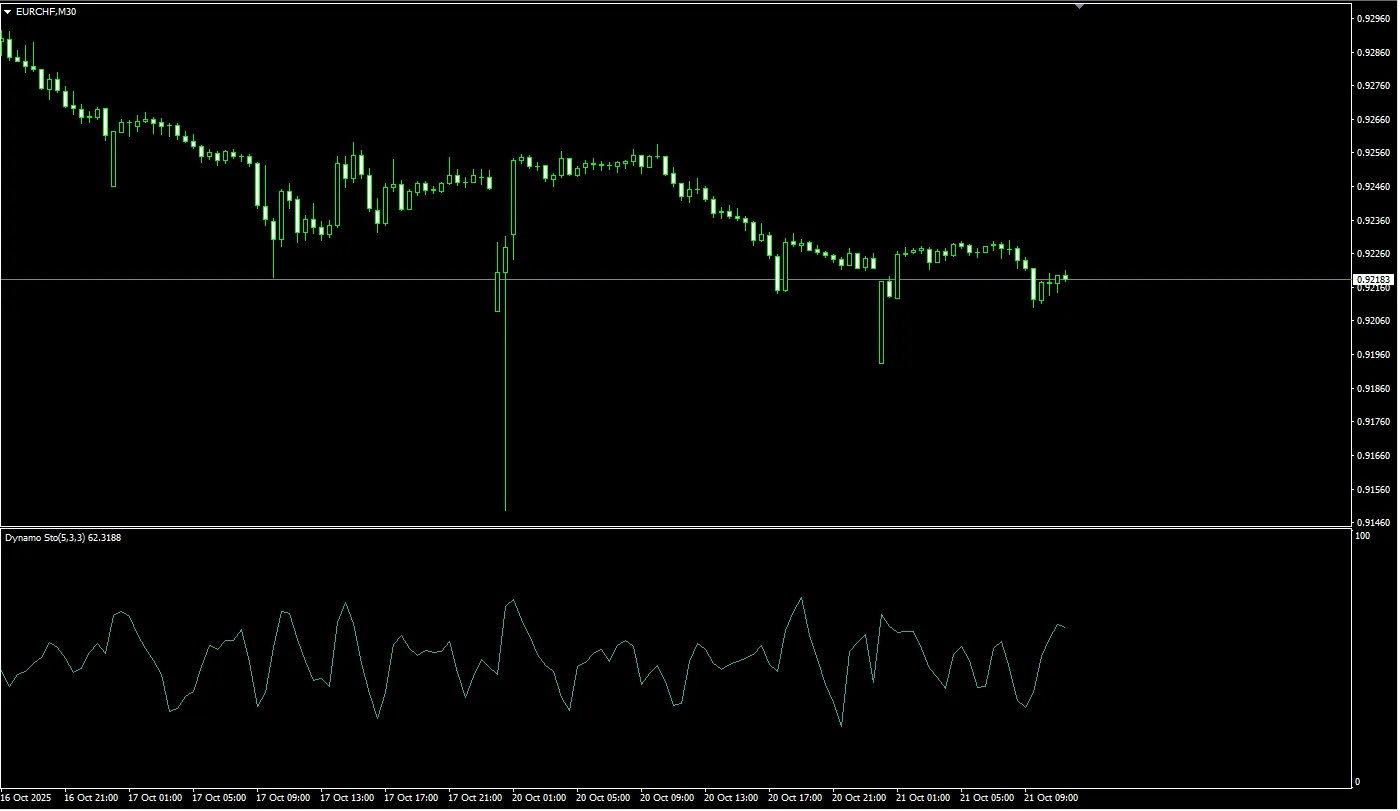Dynamo Stochastic