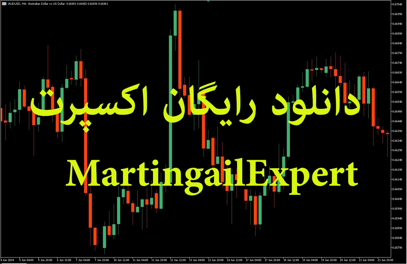 MartingailExpert