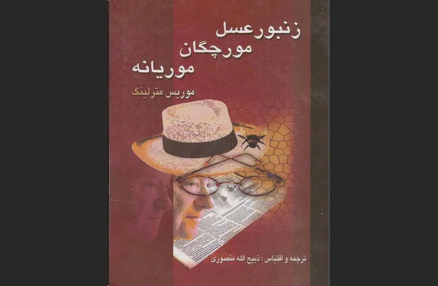 زنبور عسل، مورچگان، موریانه