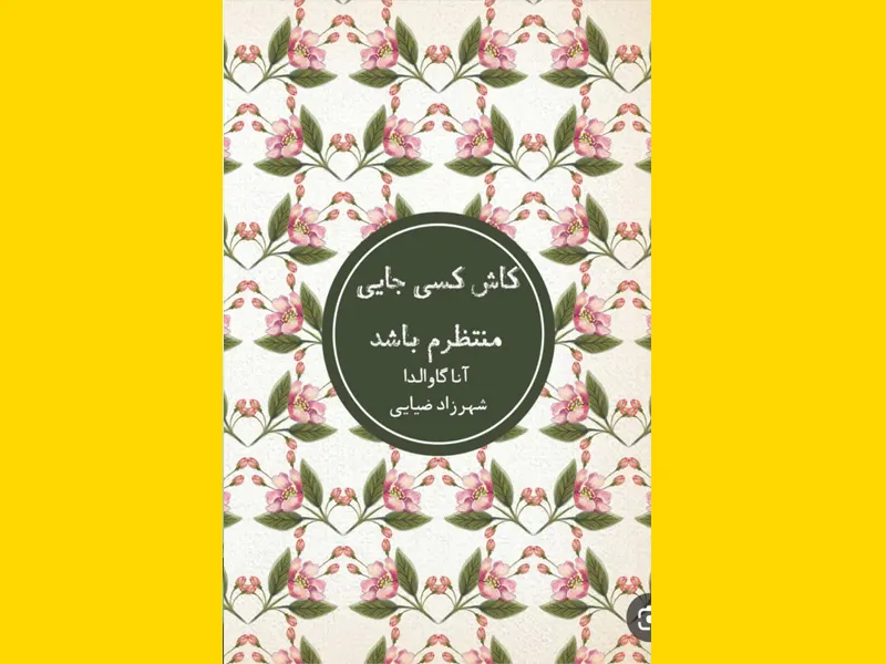 کتاب الکترونیکی (PDF) کاش کسی جایی منتظرم باشد