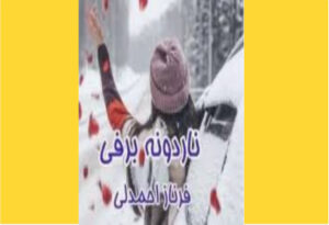 خرید کتاب الکترونیکی (PDF) ناردونه برفی اثر فرناز احمدلی