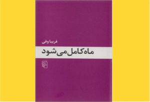 خرید کتاب الکترونیکی (PDF) ماه کامل می‌شود اثر فریبا وفی 