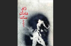 زیر دندان سگ