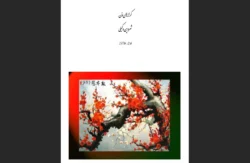کرانه های ذن