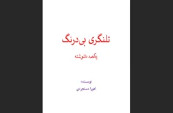 کتاب تلنگری بی‌درنگ