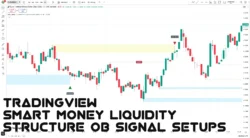 اندیکاتور Smart Money Liquidity Structure OB Signal Setups