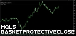 اکسپرت BasketProtectiveClose 