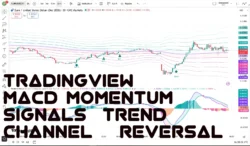 اندیکاتورMACD Momentum Signals Trend Channel & Reversal